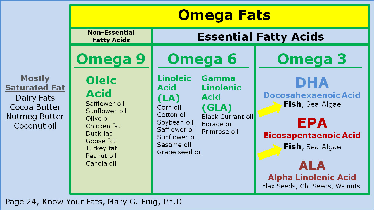 Solved Which Of The Following Are Considered Essential Fatty Acids