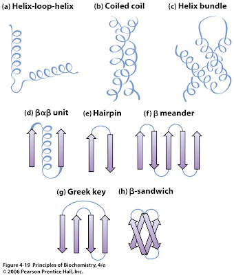 Unveiling Channel Proteins Understanding Their Structure And Function
