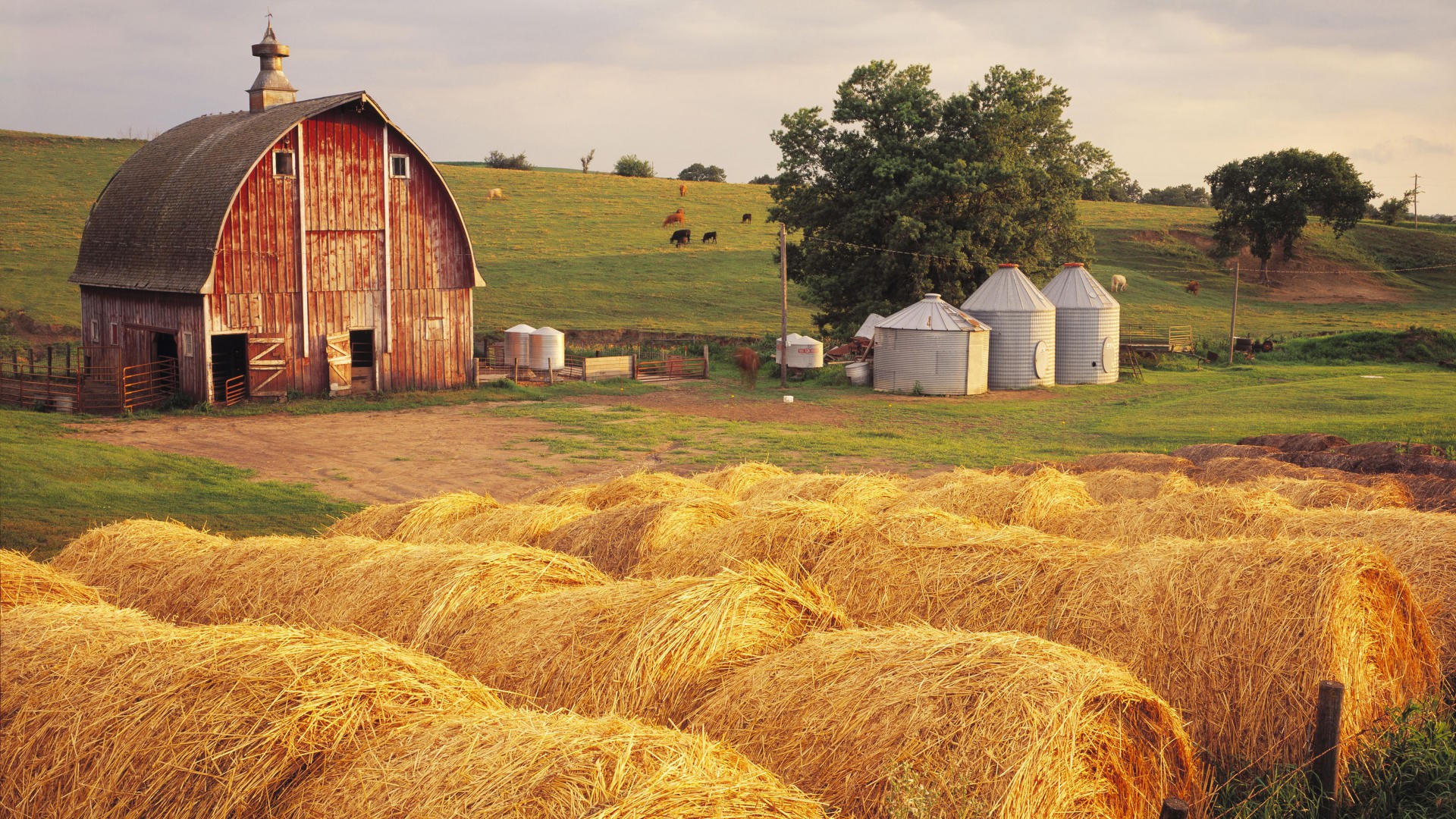 A Model Of A Farm Layout