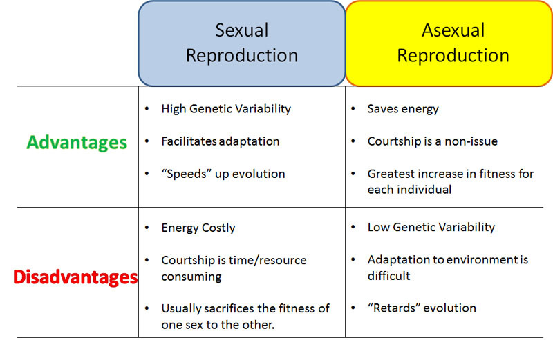 Defining Different Forms Of Genetic Relationships Between Genes A