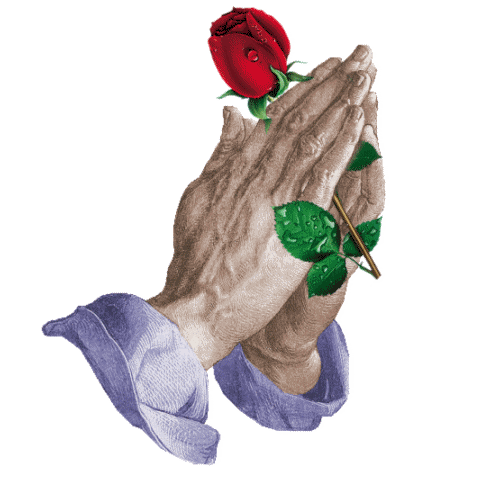 Praying Hands With Rosary