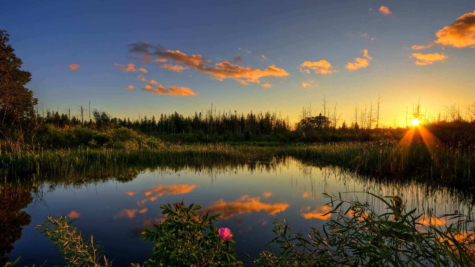 Nature Communications And Scientific Reports An Update