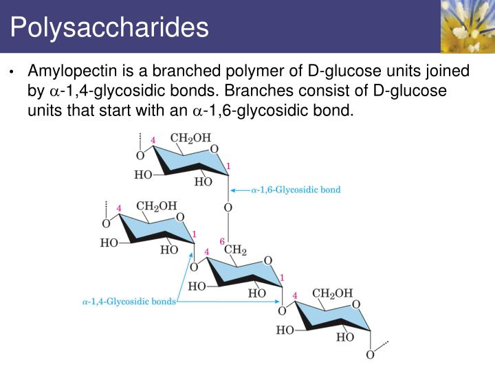 Polysaccharides Free Full Text Control Of Surface Properties Of