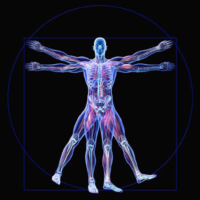 A Body Is Thrown Vertically Upwards Which One Of The Following Graphs Co
