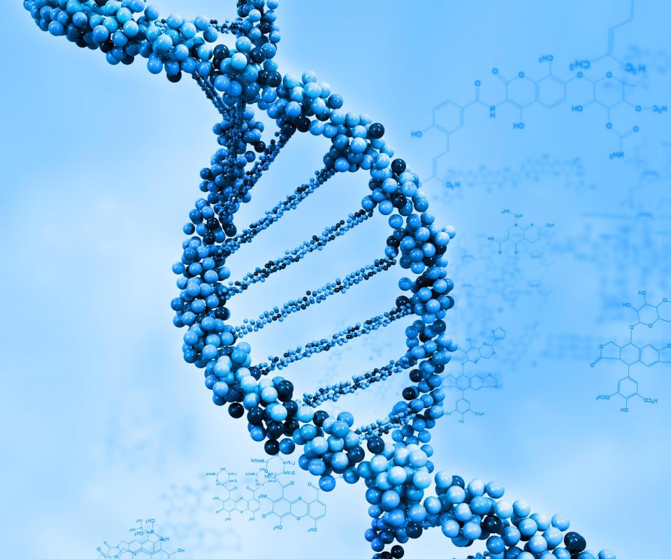 Dna Repair Department Of Molecular Biosciences The Wenner Gren Institute