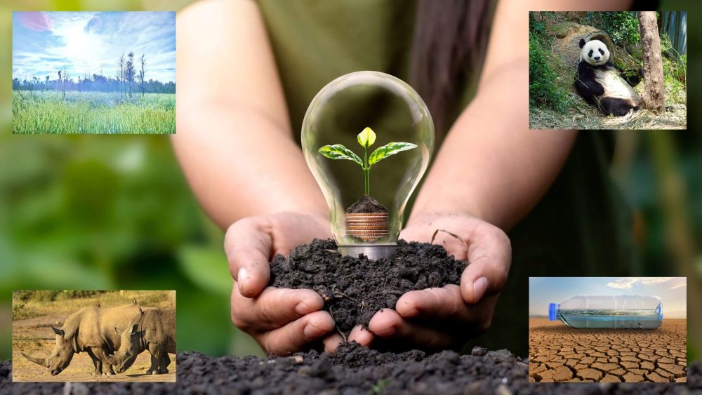 Conservation Of Occupancy Is Associated With Chromatin Accessibility