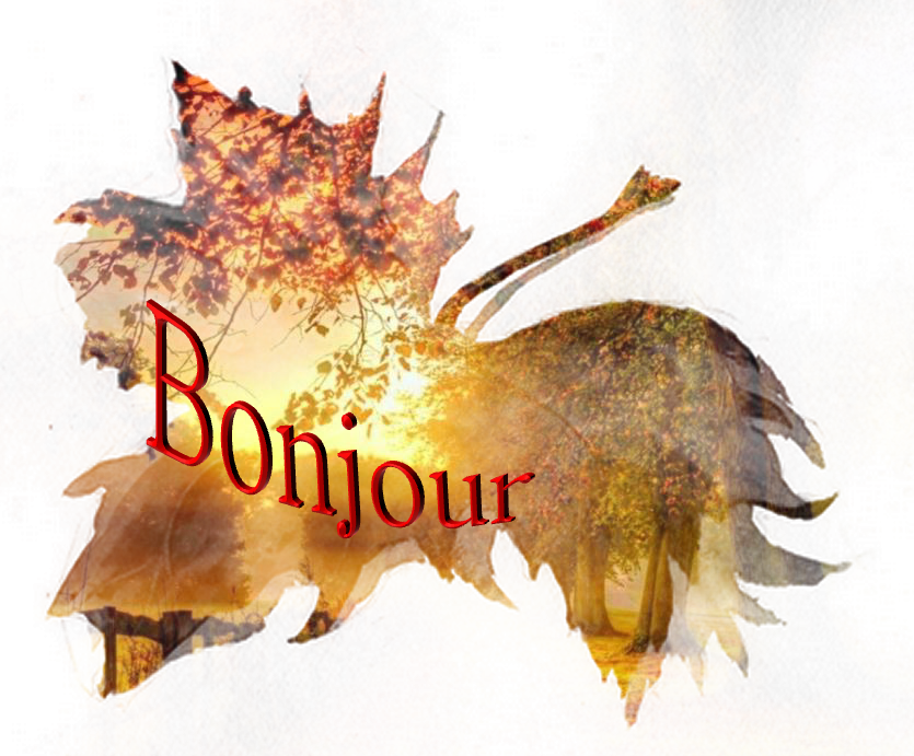 Bonjour Est Ce Que Vous Pouvez M Aider Pour Cette Exercice