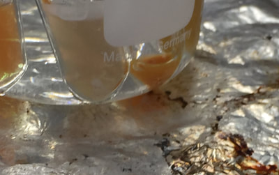 A Practical Guide To The Discovery Of Biomolecules With Biostimulant