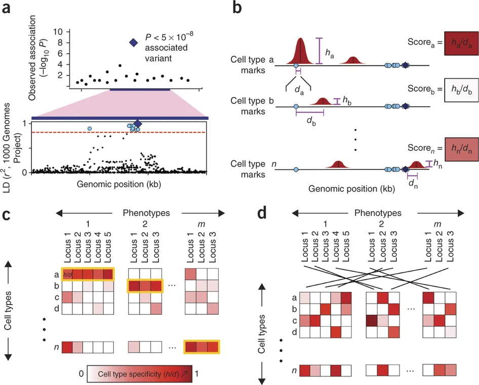Overview Of The Statistical Approach Download Scientific Diagram