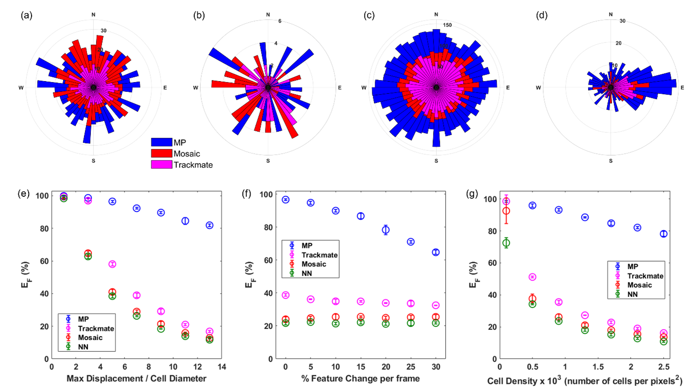 Example Results Of The Evaluated Celltracking Datasets Continued