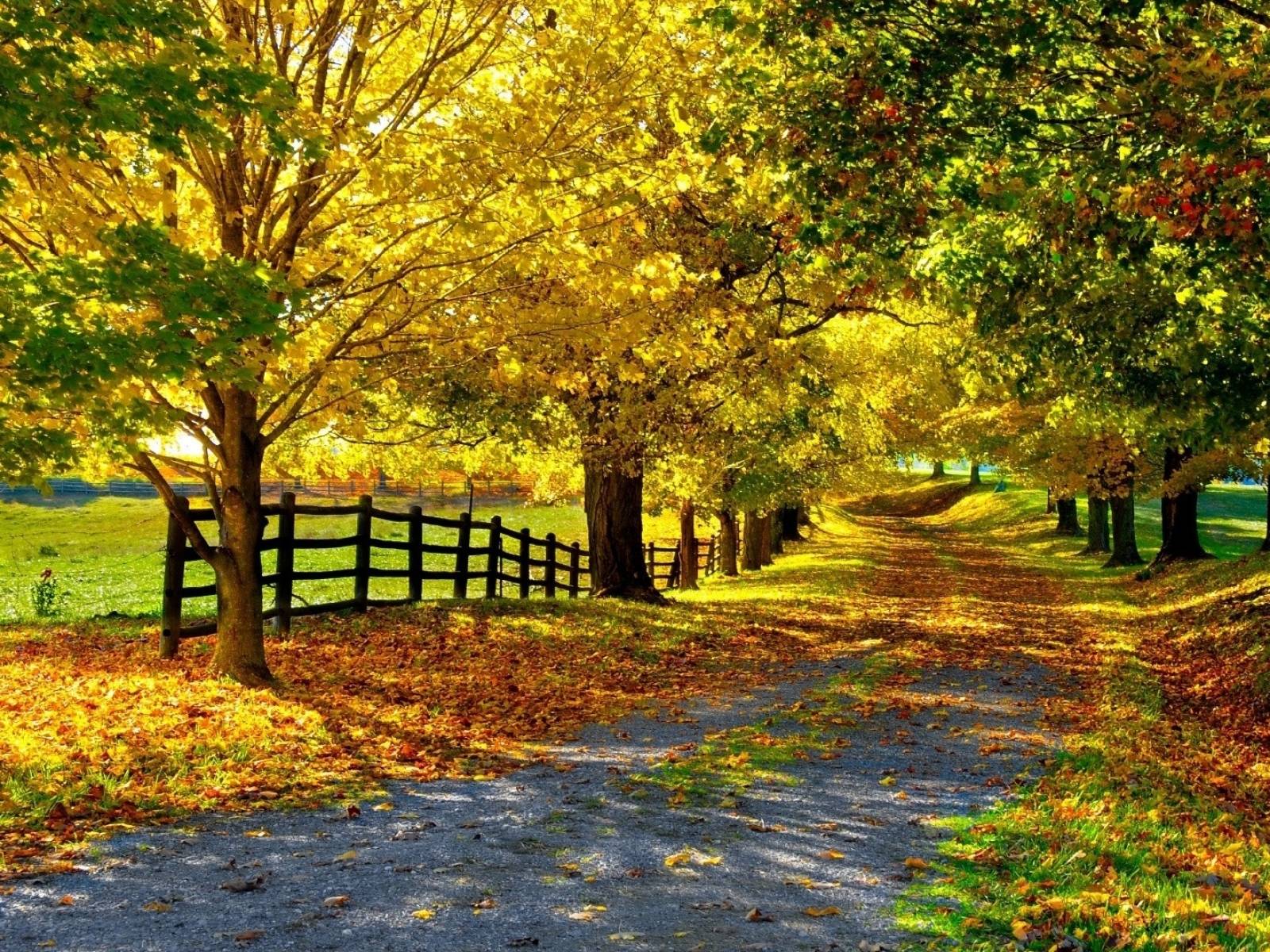 Seasonal Variations Of Xco 2 From Year 2018 To 2020 For The Nine