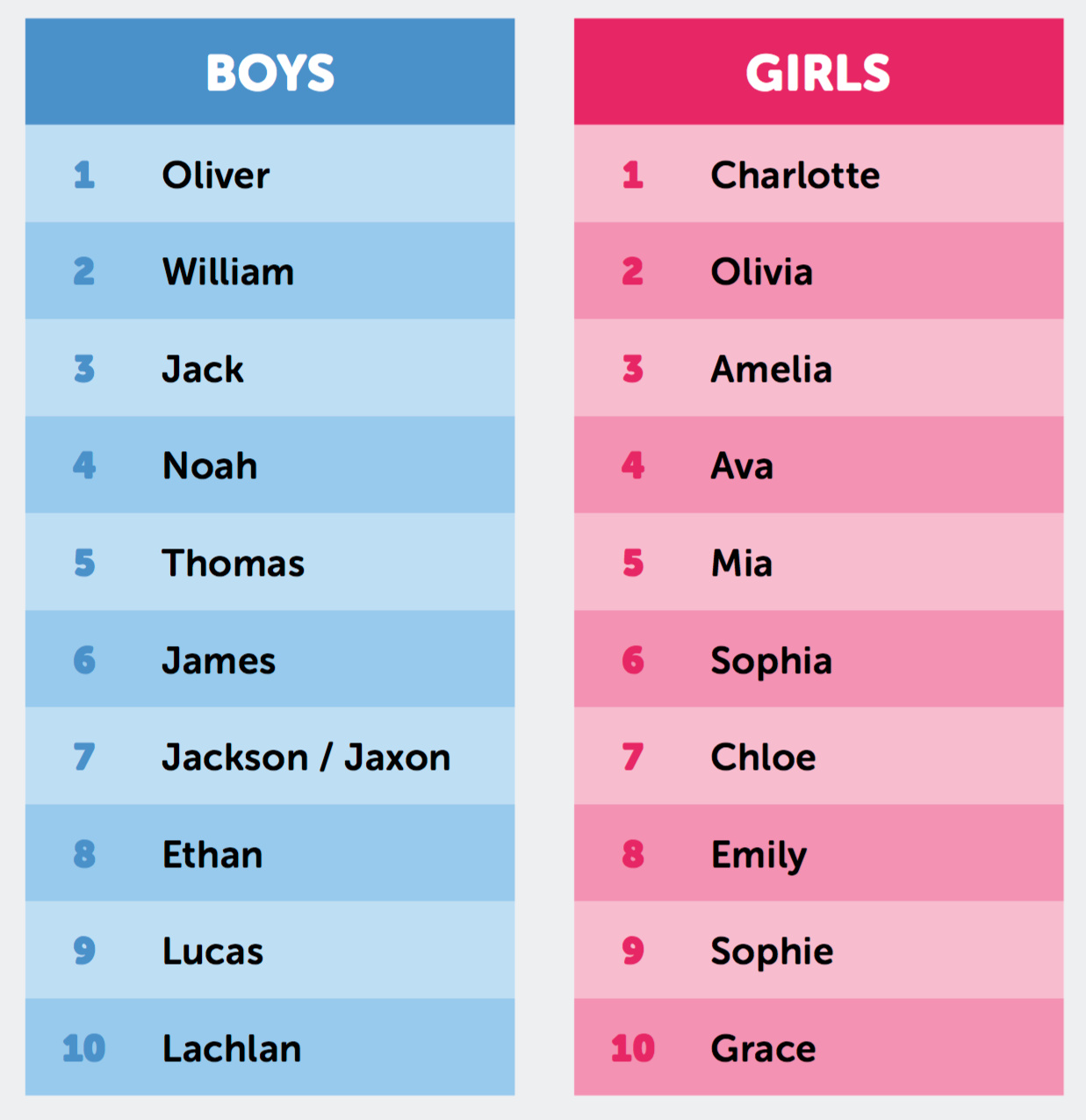 Names Of Birds In Arabic Selfarabic