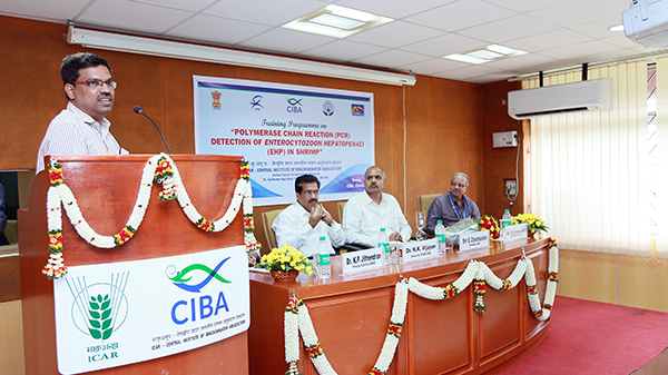 Icar Central Institute Of Brackishwater Aquaculture Ciba Chennai