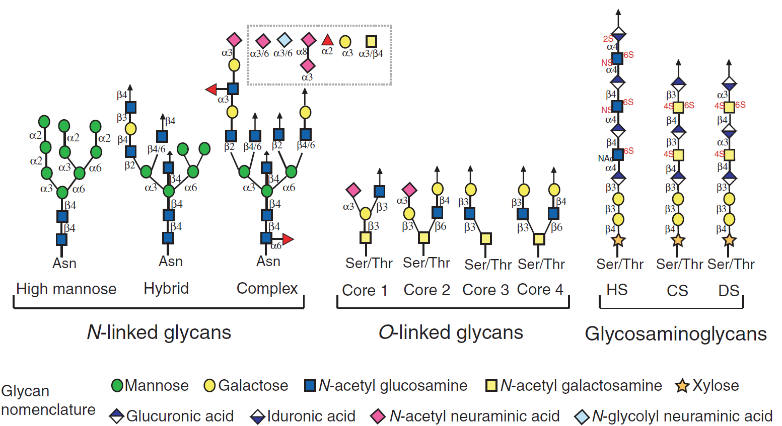 Comparison Of Glycan Abundance By Structure Type These Comparisons
