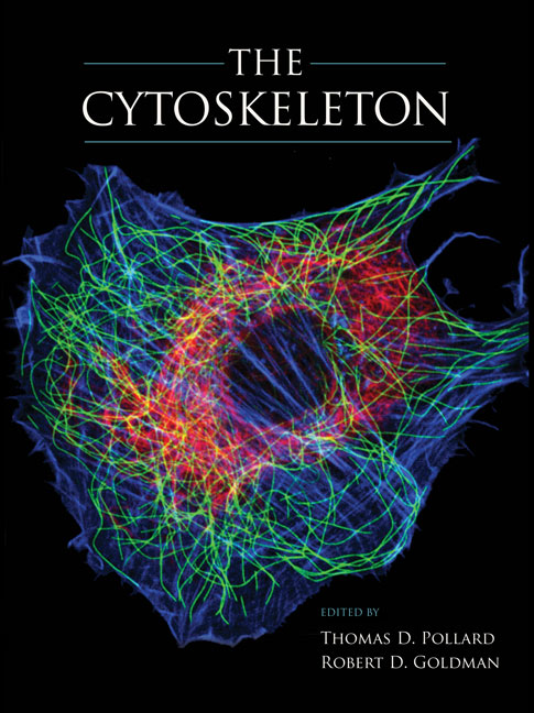 Cytoskeleton Part 2 Actin Flashcards Quizlet