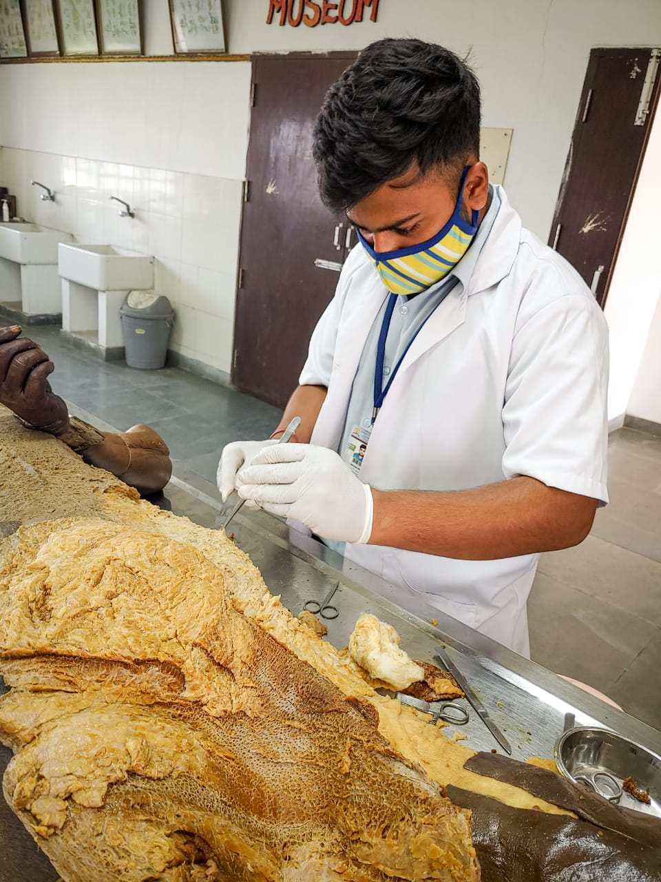 The Dissection Of Function Mutant Aif78 W196a Dimerizes Without Ctc