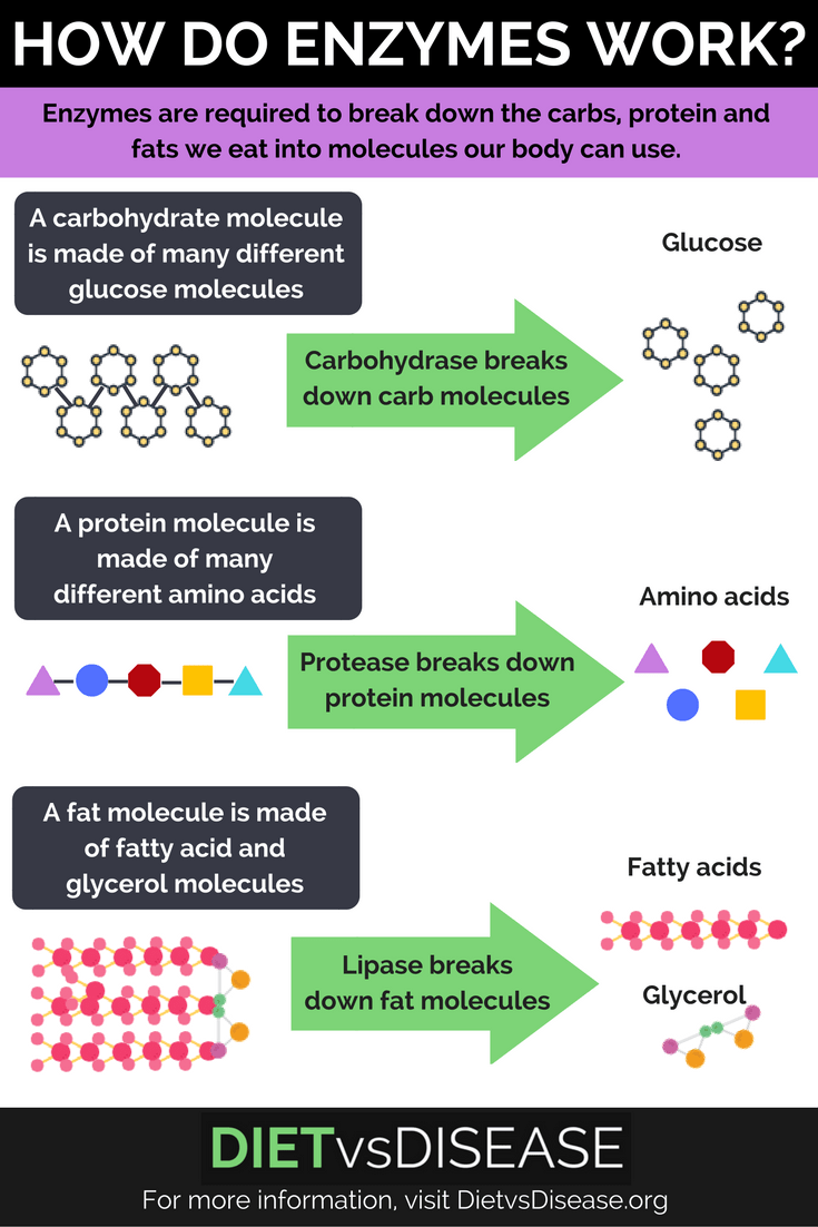 What Do Enzymes Do In Photosynthesis