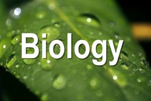Biology Free Full Text Epigenetics For Crop Improvement In Times Of