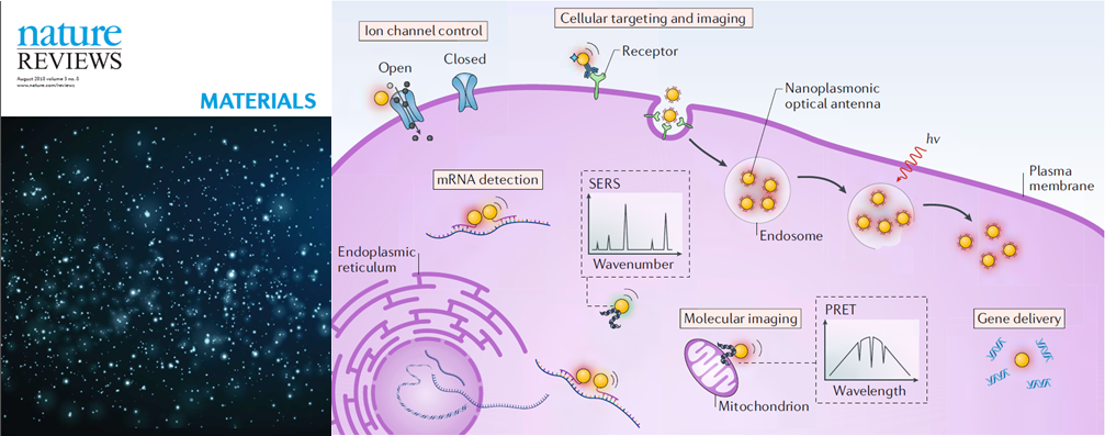 Photodetection With Active Optical Nanoantennas Nextbigfuture Com