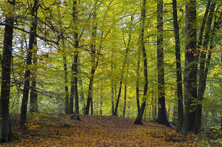 Las Mejores Aplicaciones De Iptv Para Ver La Tv Gratis Smartblog