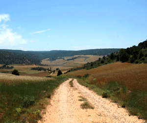 Es Seguro Iniciar Sesion Con Google O Facebook Cuando Quieres Utilizar