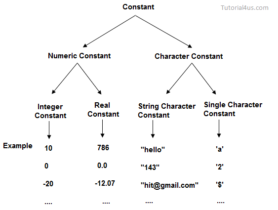 Constant Function F X C Definition And Graph Teachoo