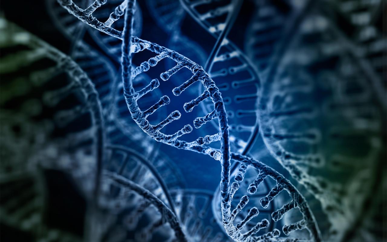 Dna Damage And Genome Instability By G Quadruplex Ligands Are Mediated
