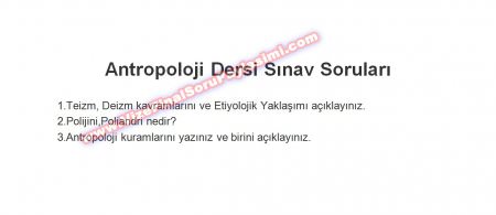 Antropoloji Blogspot Com Tr Cikmis Antropoloji Sorulari Ve Cevaplari