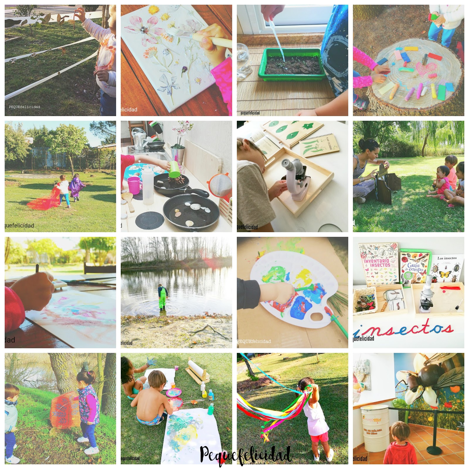 Actividades Para Turismo De Naturaleza