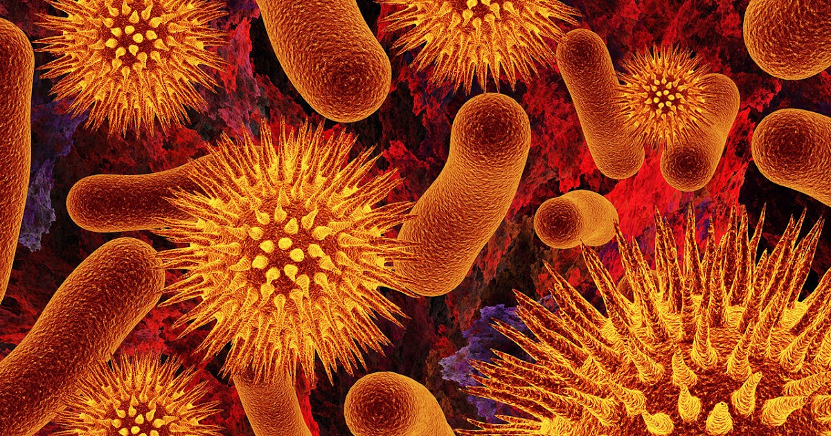 Bacterial And Fungal Phyla Relative Abundance A Box Plot Presentation