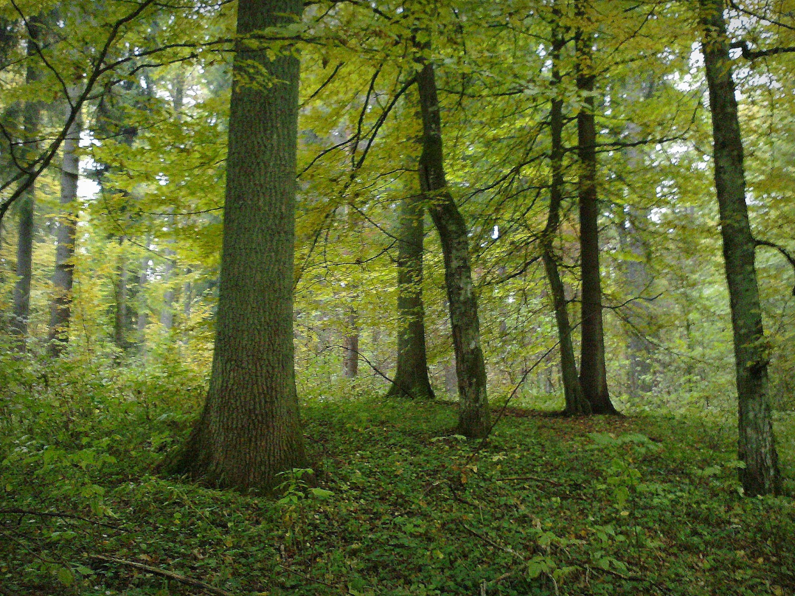 Las Mejores Calculadoras Cientificas Guia