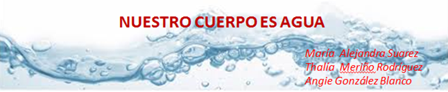 La Importancia Del Agua En Nuestro Cuerpo