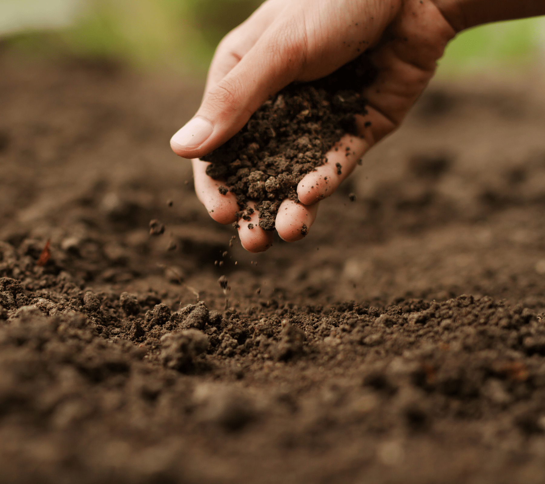 Soil Plant Water Relationship Ppt