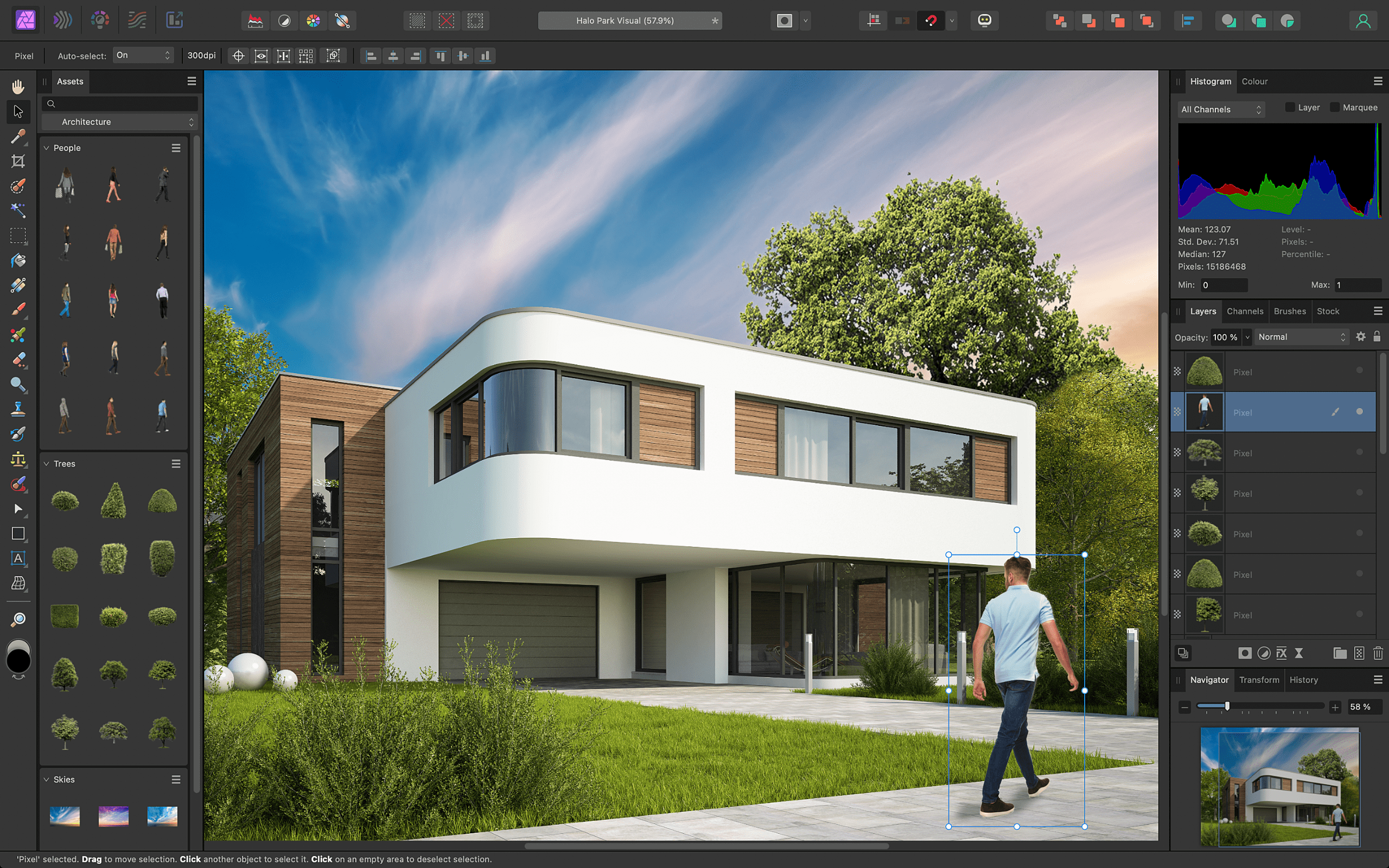 Affinity Ligands With Spaced Hydrophobic Groups 8 Download