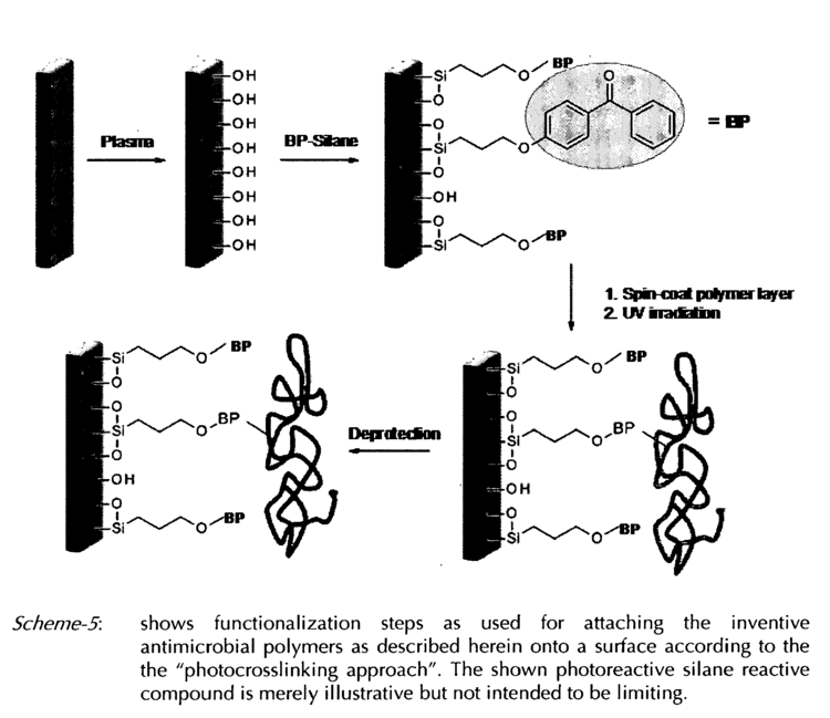 Unearthing The Antimicrobial Properties Of A Forgotten Polymer