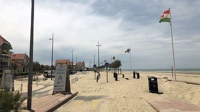 The Biosphere Experiment Making Of Sciences Arte In English