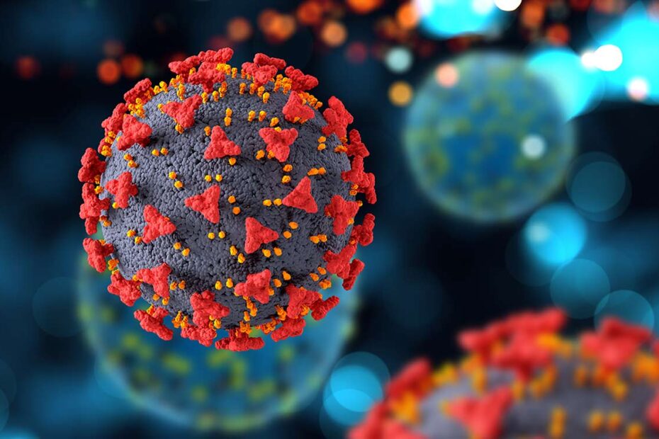 Virus Inspired Coating Protects Dna Nanostructures In The Body