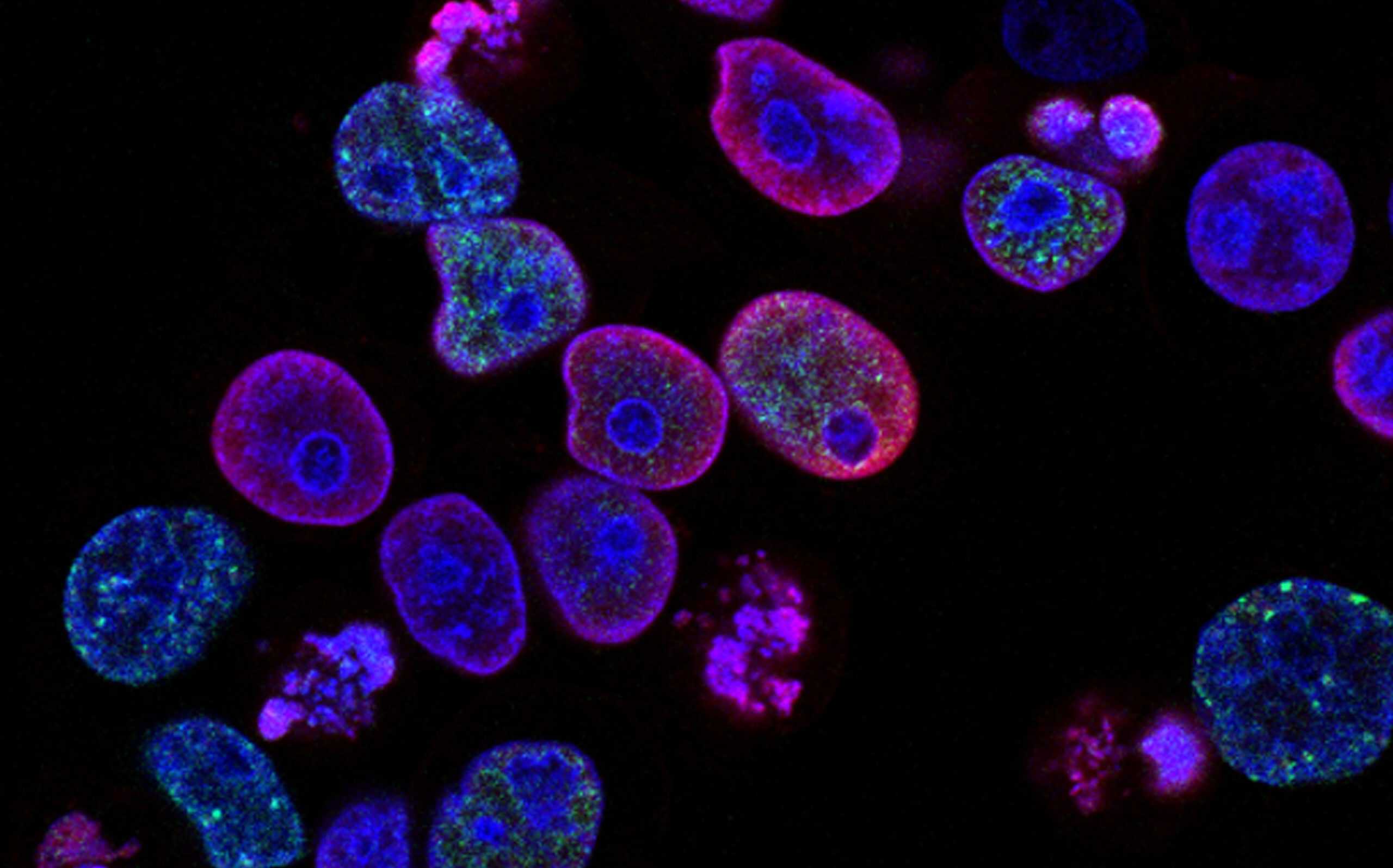 Biology Genes Inheritance And Selection Flashcards Quizlet