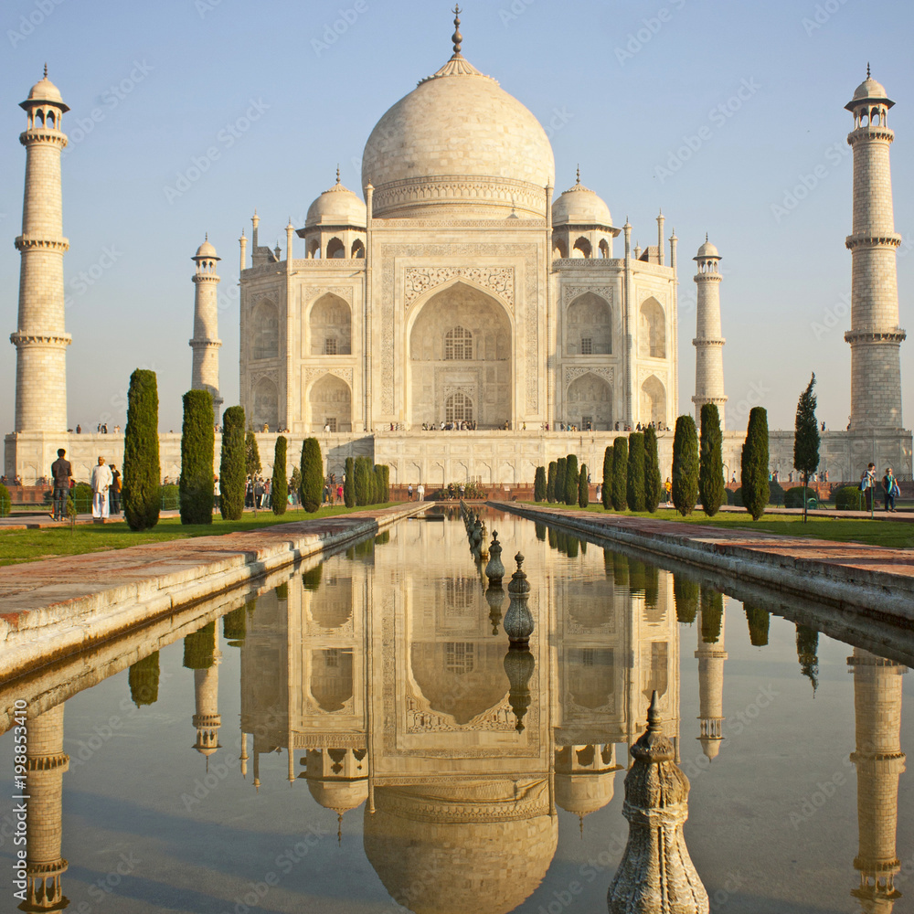 New India Agent Portal Policy Status