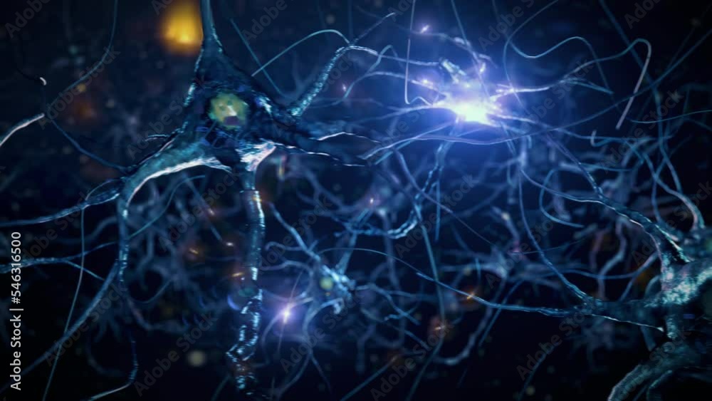 Neurons Coding Thematic Roles Indicated By Colored Traces See Embedded