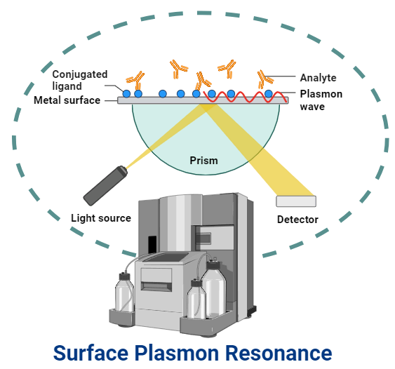 Ptpmeg 2 Phosphatase Soluble Proteins Eurofins Calixar