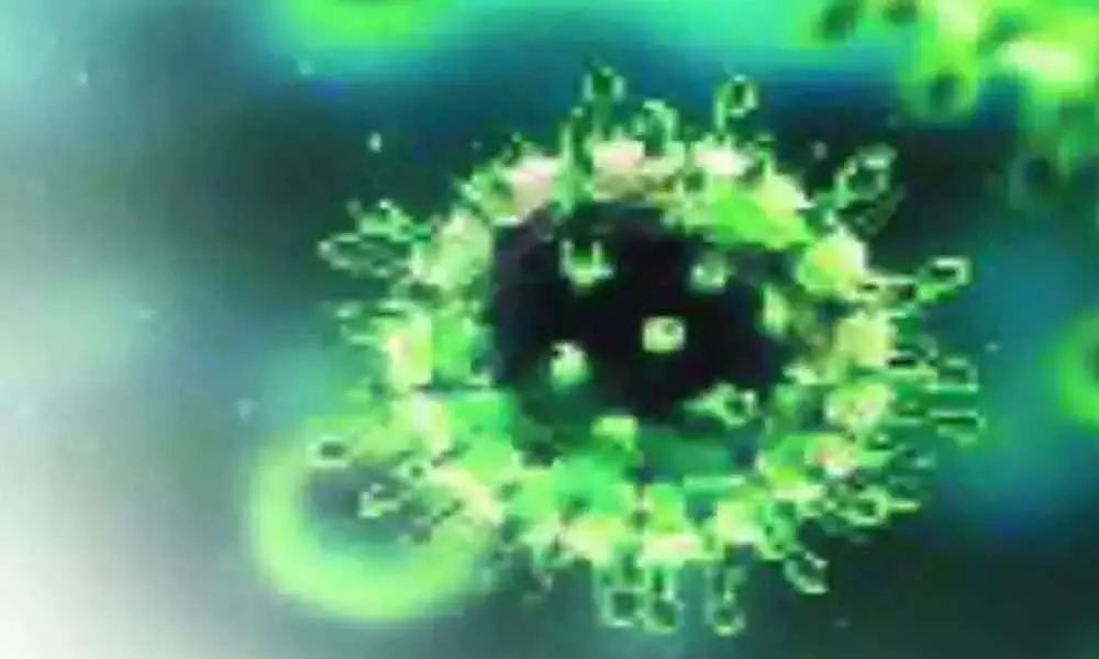 Abundant Marine Bacteria Could Speed Up Global Warming Study Says