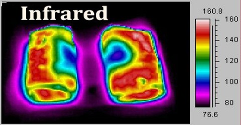 Infrared Spectra Of Native Whey Protein Isolate Wpi Conventional