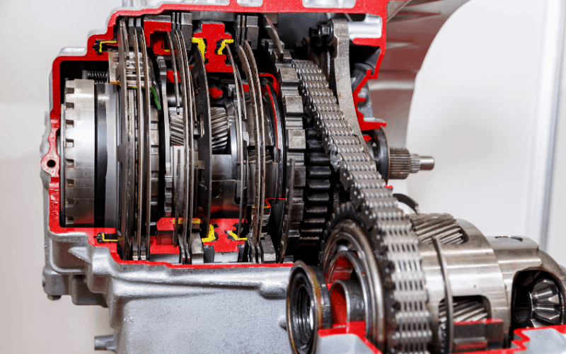 Transmission Electron Microscopy Of C Albicans Fluconazole Sensitive