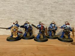 Honeypot Ants For Sale