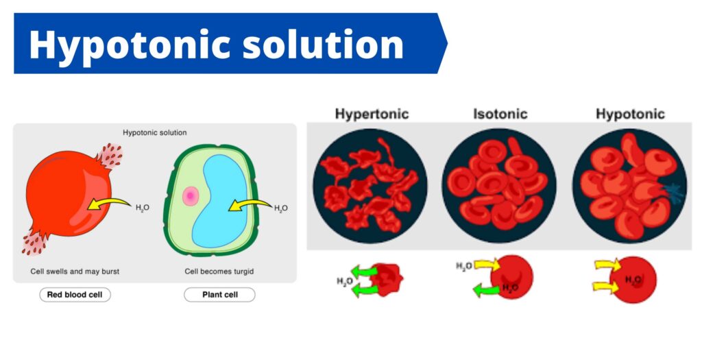 Solution Chapter 2 Electric Potential And Capacitance Studypool