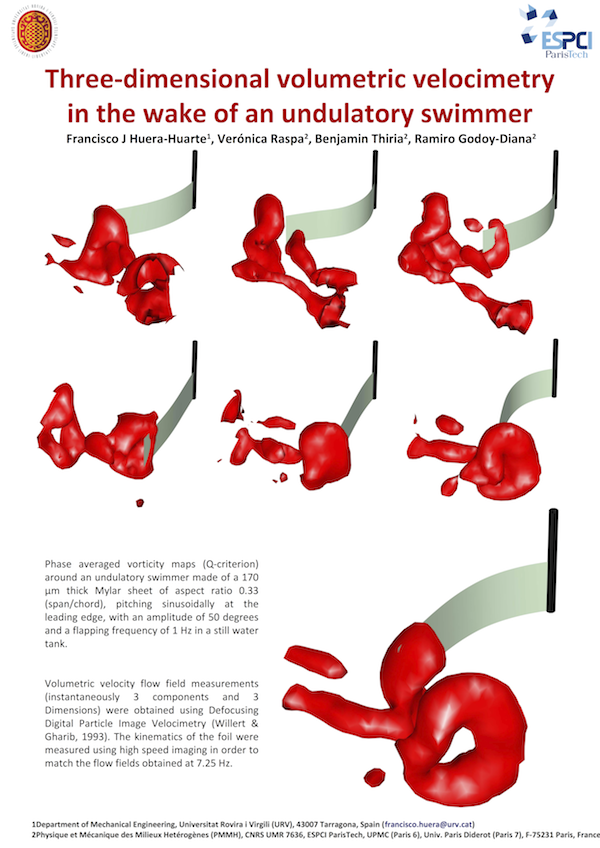 What Is Fluid Structure Interaction