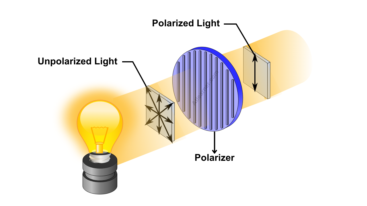 Polarization Optical Microscope Pom Photograph A And Azimuthal
