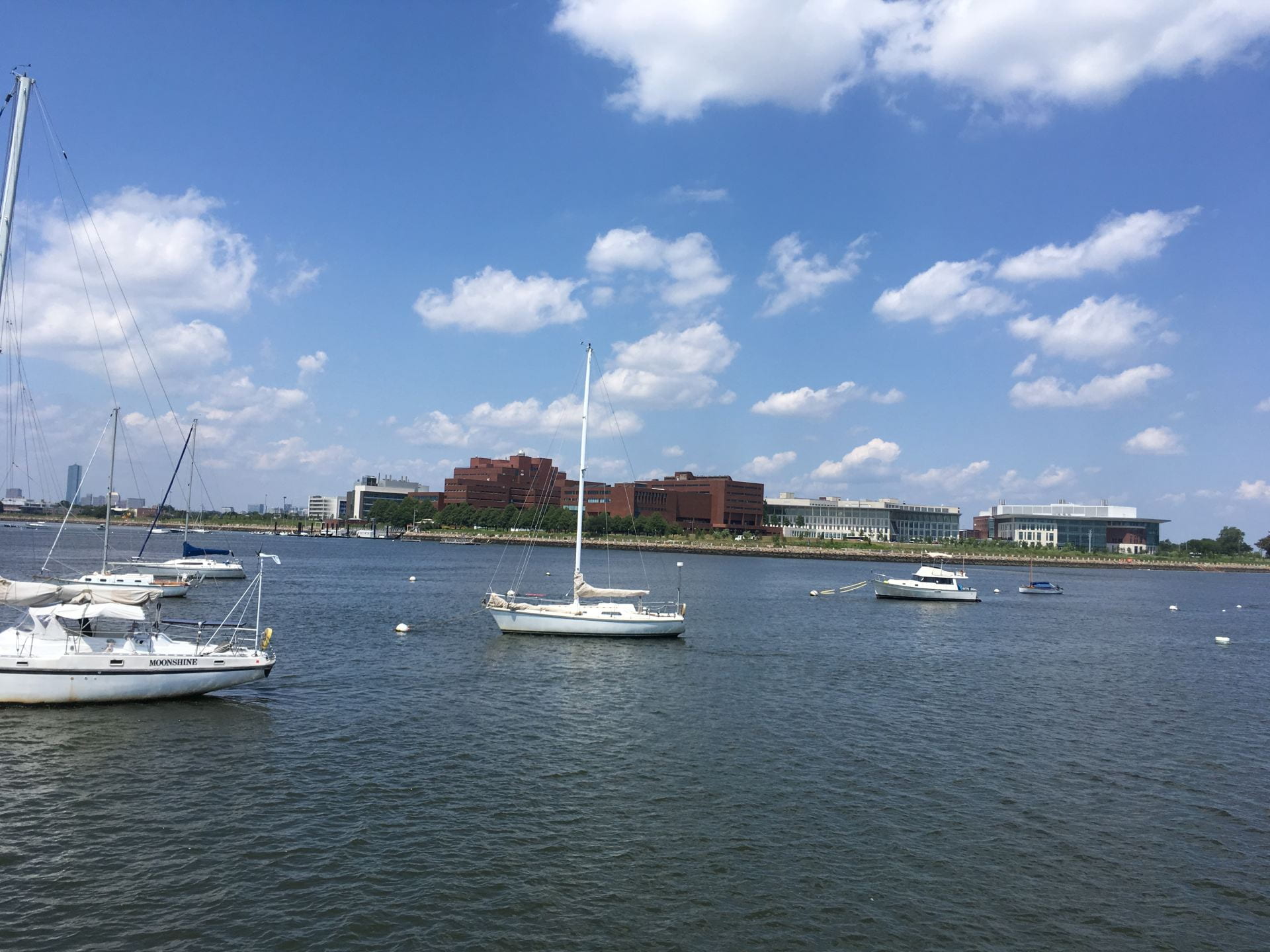 Biomedical Chemistry Lab – UMass Boston Department of Chemistry 