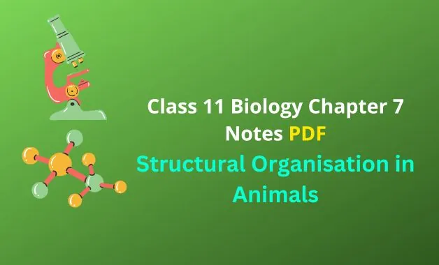 Structural Organisation In Animals Cbse Notes For Class 11 Biology